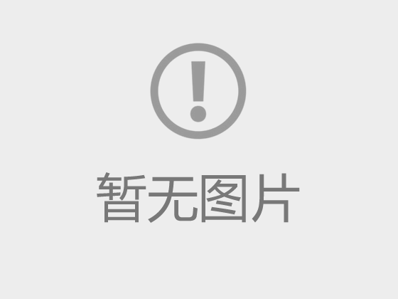 “传承徽派古建，守护文化瑰宝” ——环境艺术设计专业《传统民居调研》课程实训